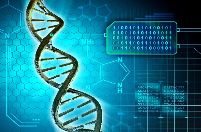DNA Software