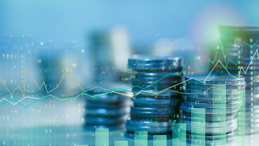 financial risk management
