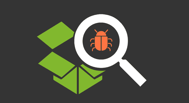 software bugs