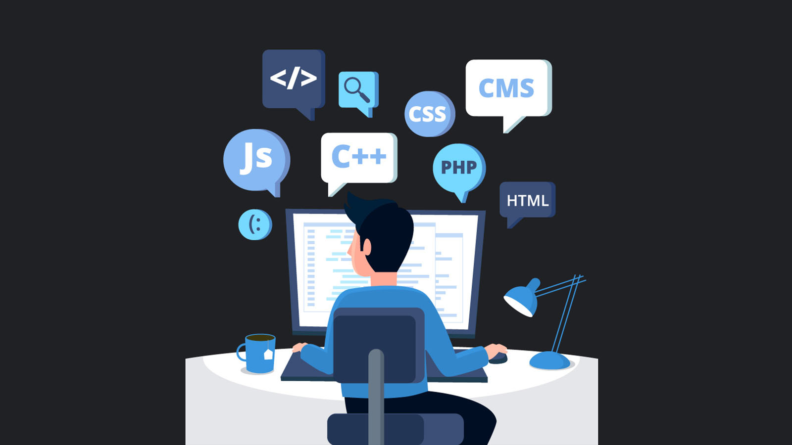 software developer